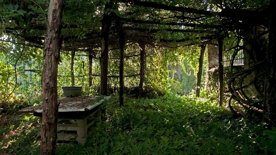 garden corner