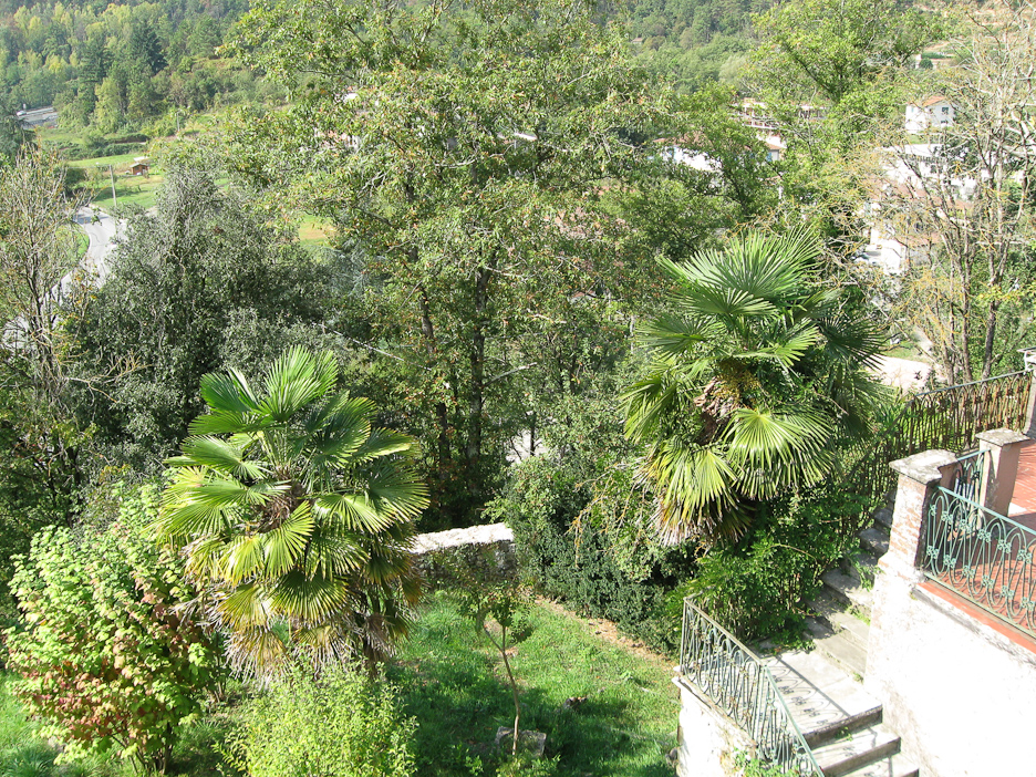 garden seen from bedroom