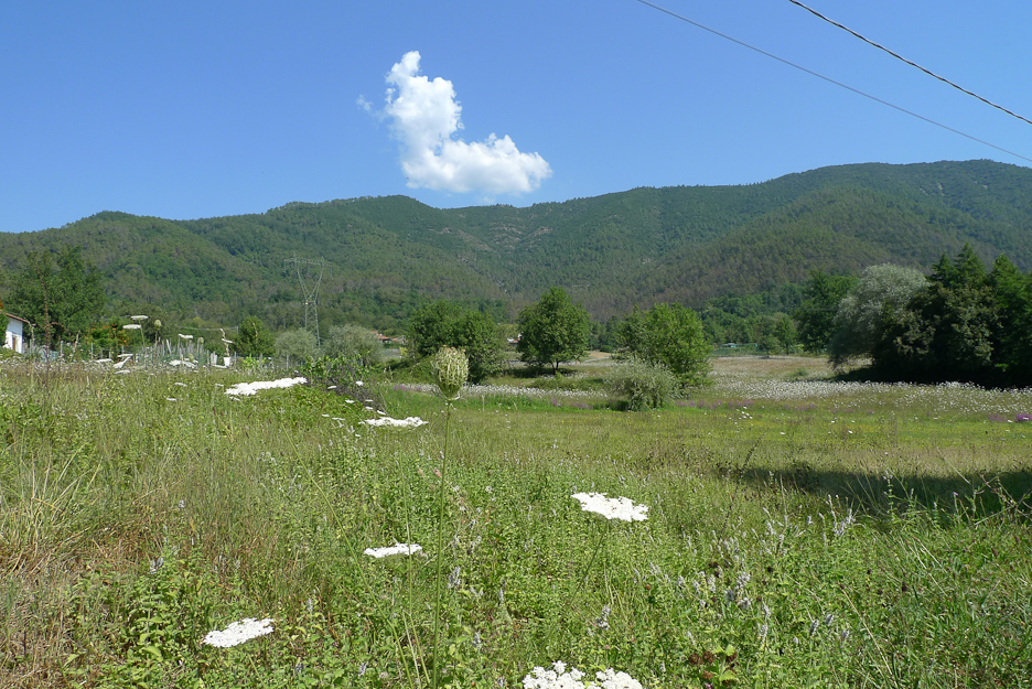 surroundings